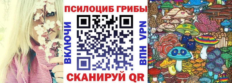 Псилоцибиновые грибы мицелий  Дно 